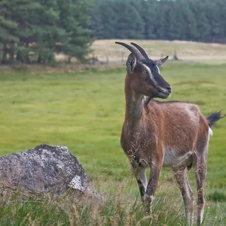 Agroturystyka Skoszewo Prázdninový dům *