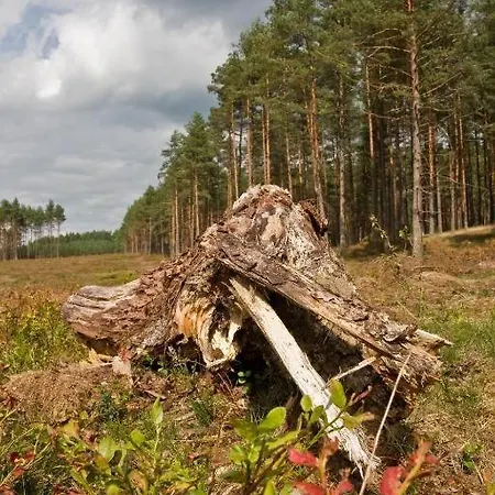 Agroturystyka Skoszewo Prázdninový dům