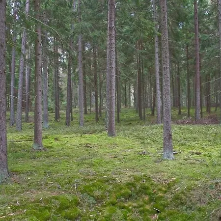 Agroturystyka Skoszewo Skoszewo