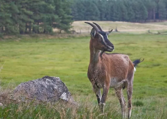 Agroturystyka Skoszewo Semesterbostad *