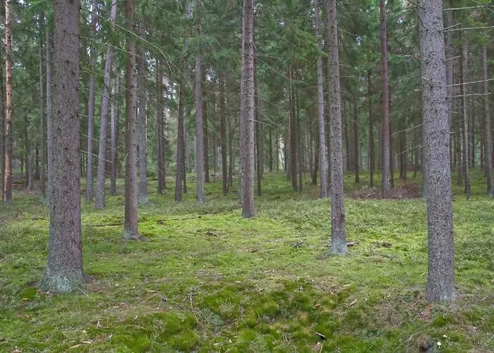 Agroturystyka Skoszewo Skoszewo